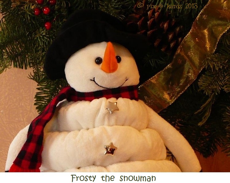 15 Frosty the snowman (750x563)