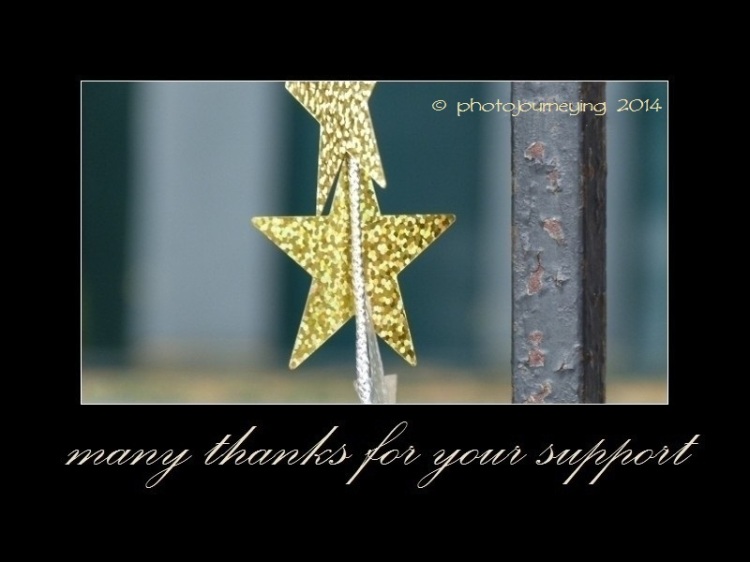  many thanks blog support
